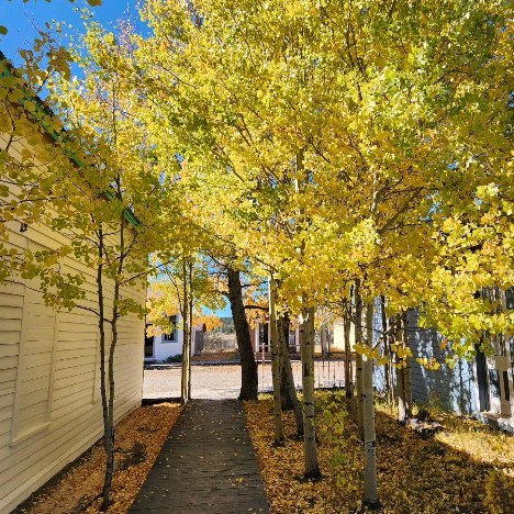 South Park City Museum