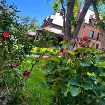 Rosemount Museum