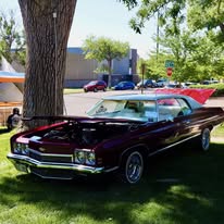 Rosemount Museum