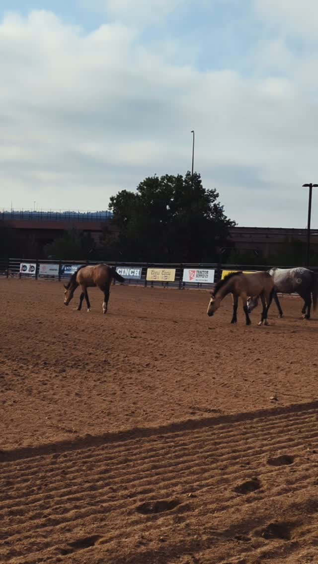 ProRodeo Hall Of Fame & Museum of the American Cowboy