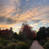 Denver Botanic Gardens