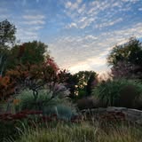 Denver Botanic Gardens