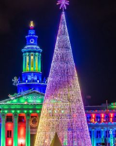 Denver — Mile High Tree